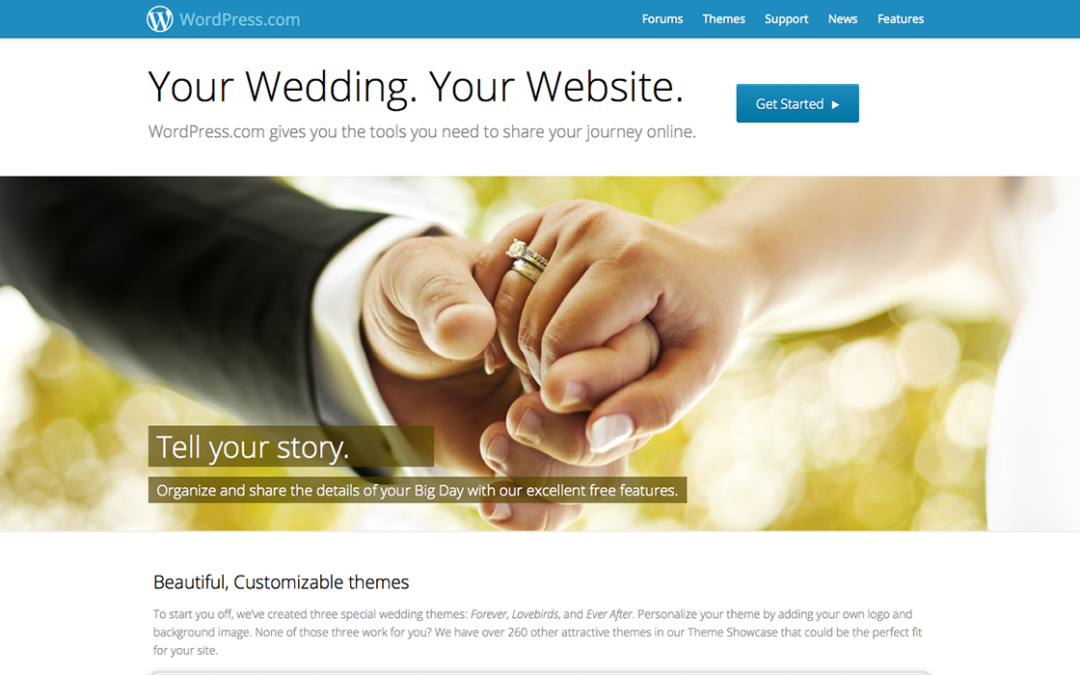 Wedding Website a great idea!
