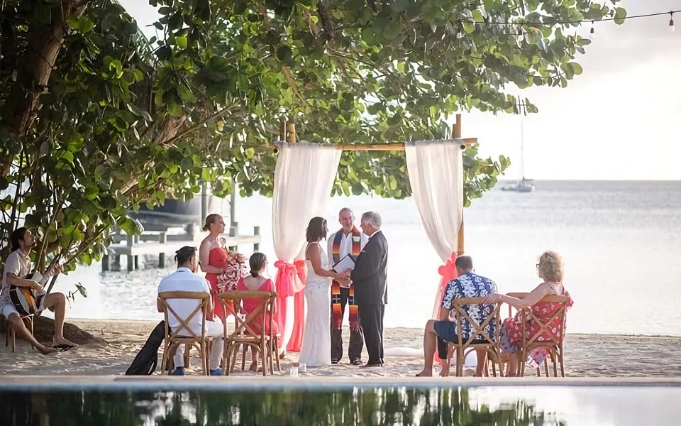 Simple ways to host an eco-friendly wedding 1