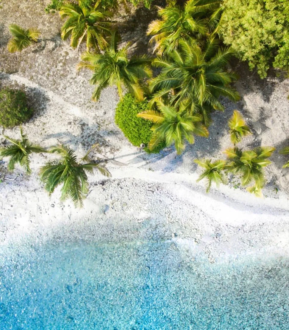 Dream Wedding in Utila beach, Bay Islands