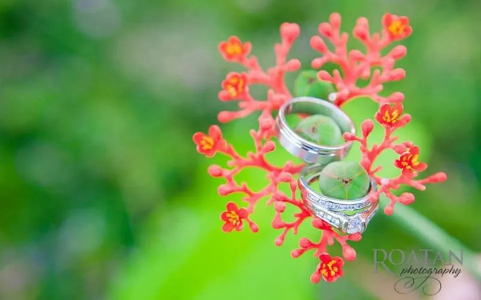 Wedding rings resting on a tropical coral flower