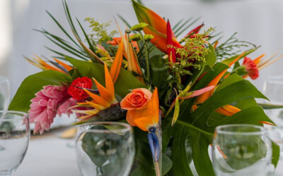 Why Tropical Flowers are Ideal for Your Roatan Wedding