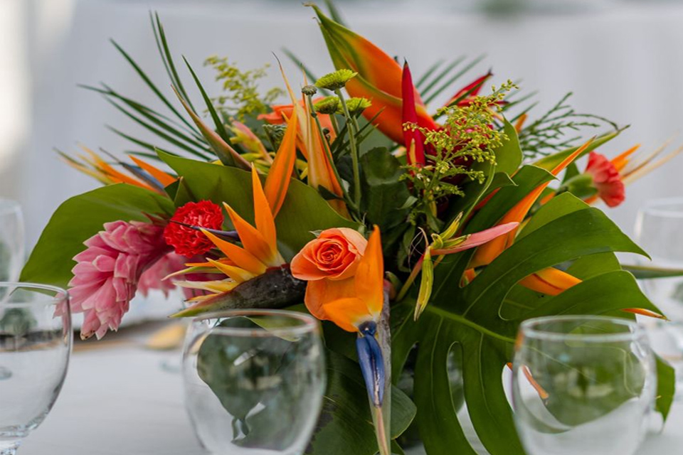 Why Tropical Flowers are Ideal for Your Roatan Wedding